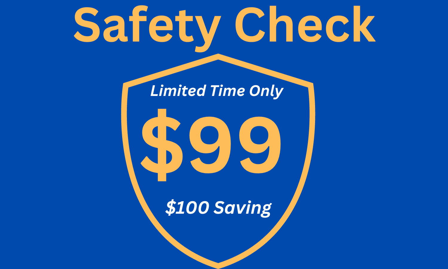 Safety Check $99 (3)